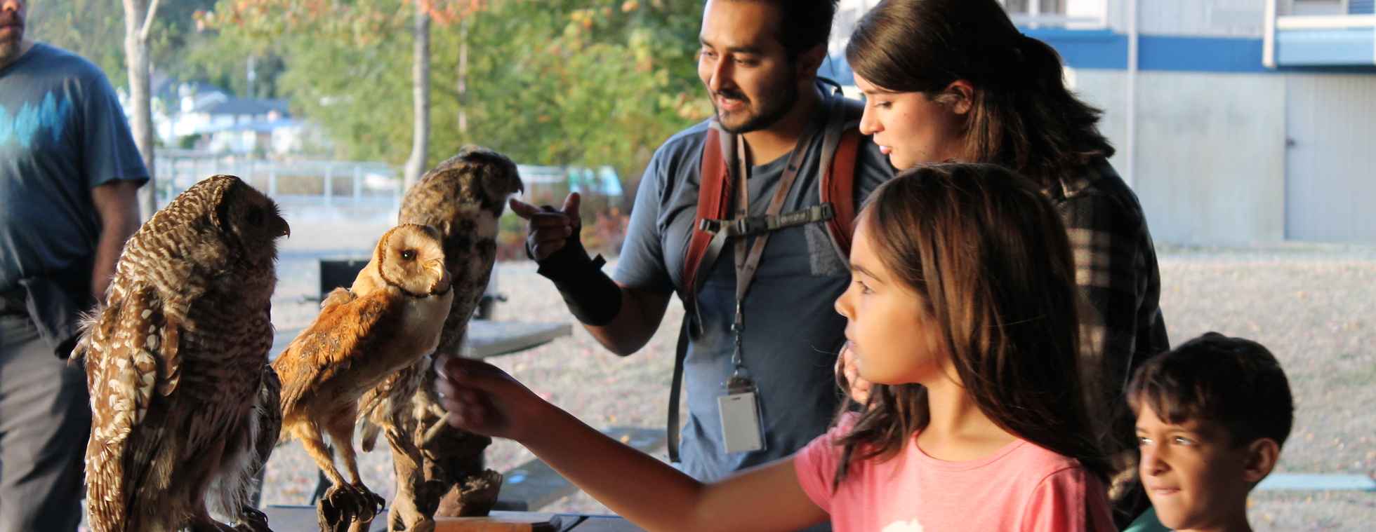 Owl Prowl- May 8 (6:30 PM-8:30 PM)